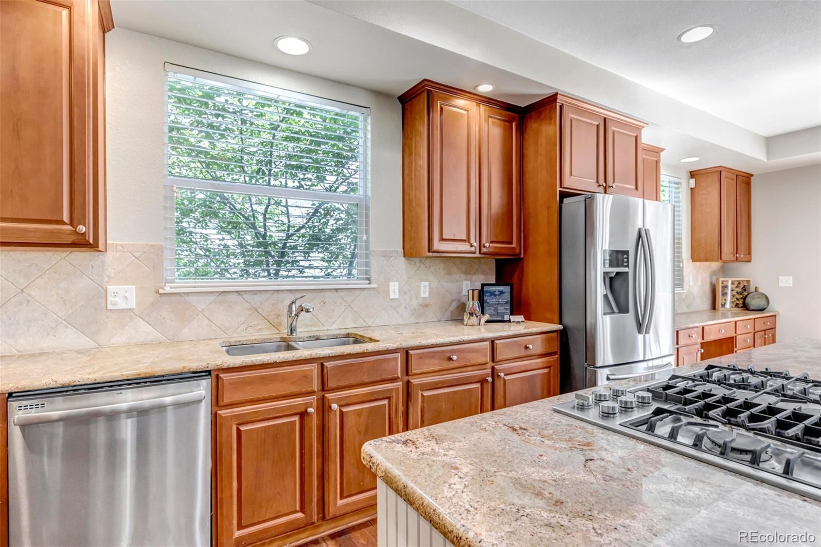 MLS Image #10 for 10646  amesbury way,highlands ranch, Colorado