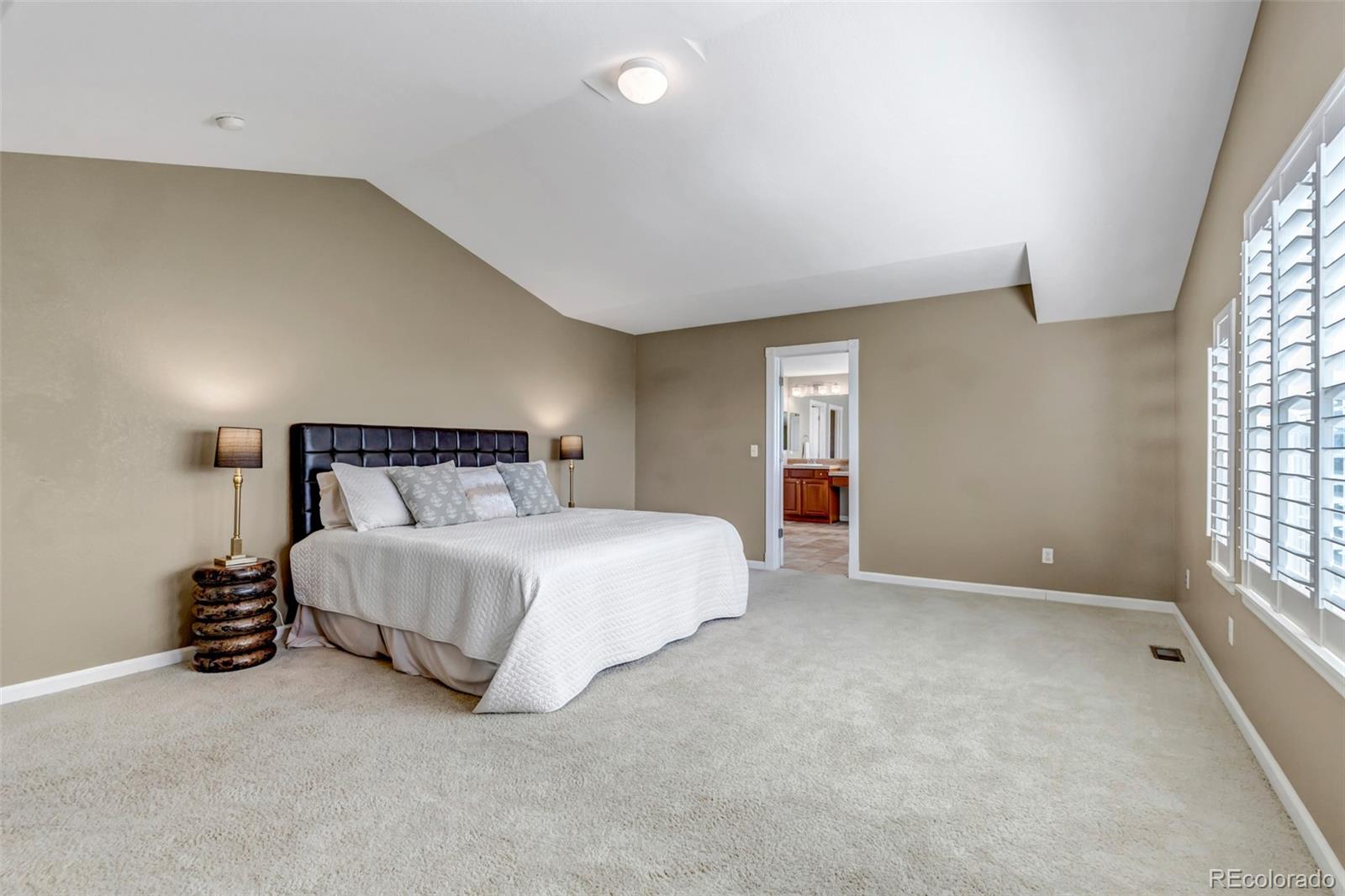 MLS Image #26 for 10646  amesbury way,highlands ranch, Colorado