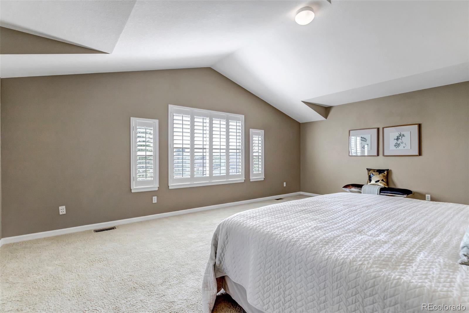 MLS Image #29 for 10646  amesbury way,highlands ranch, Colorado