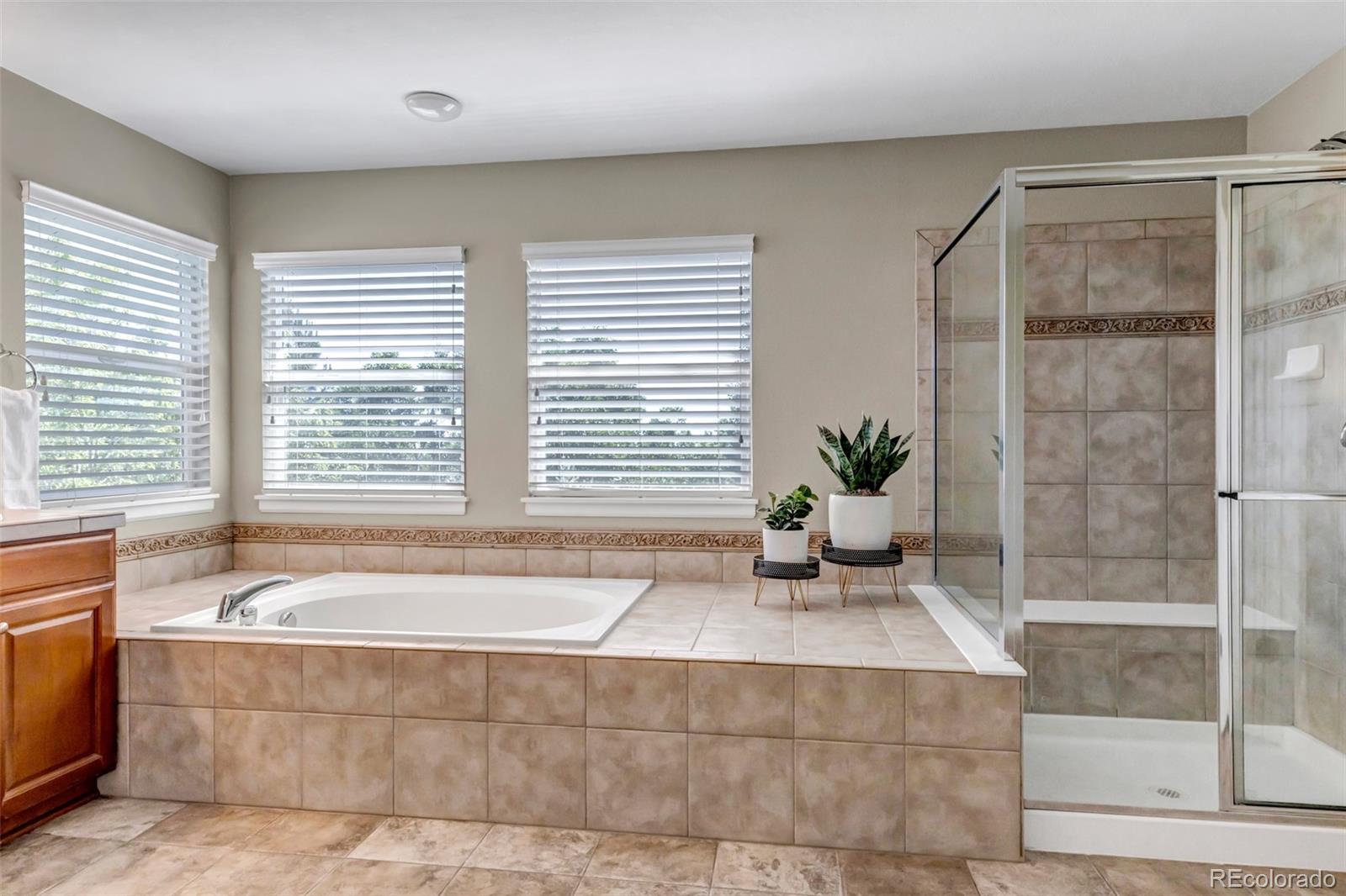 MLS Image #31 for 10646  amesbury way,highlands ranch, Colorado