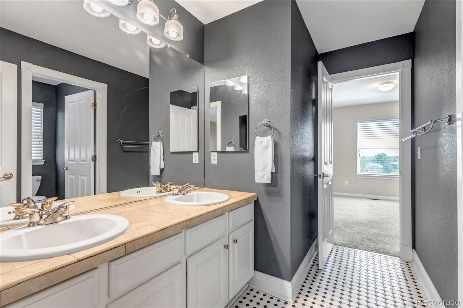 MLS Image #36 for 10646  amesbury way,highlands ranch, Colorado