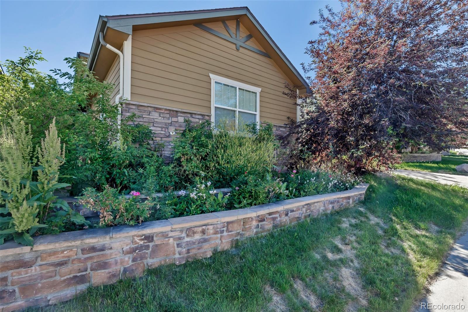 MLS Image #46 for 10646  amesbury way,highlands ranch, Colorado