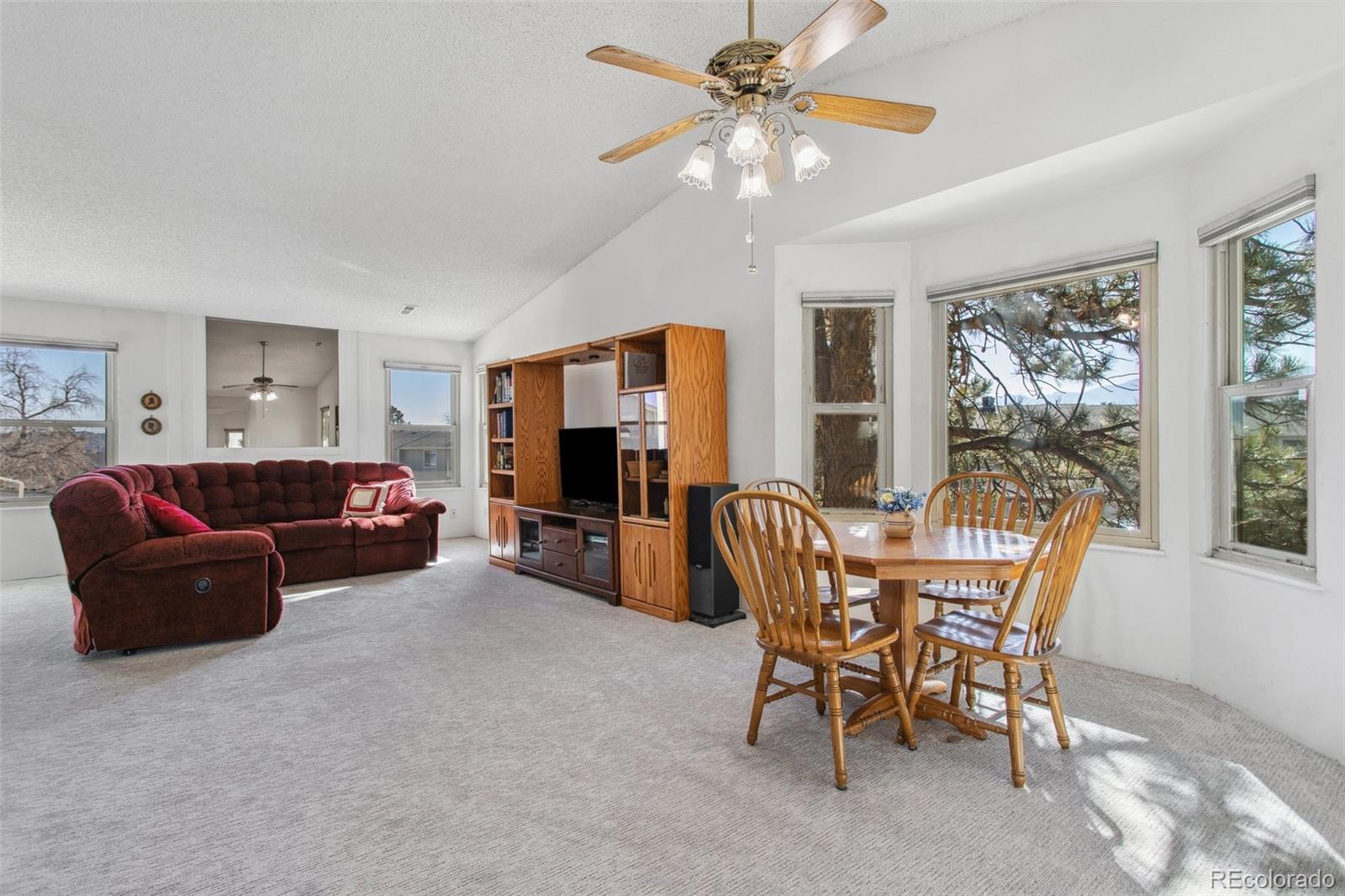 MLS Image #6 for 432 w rockrimmon boulevard,colorado springs, Colorado
