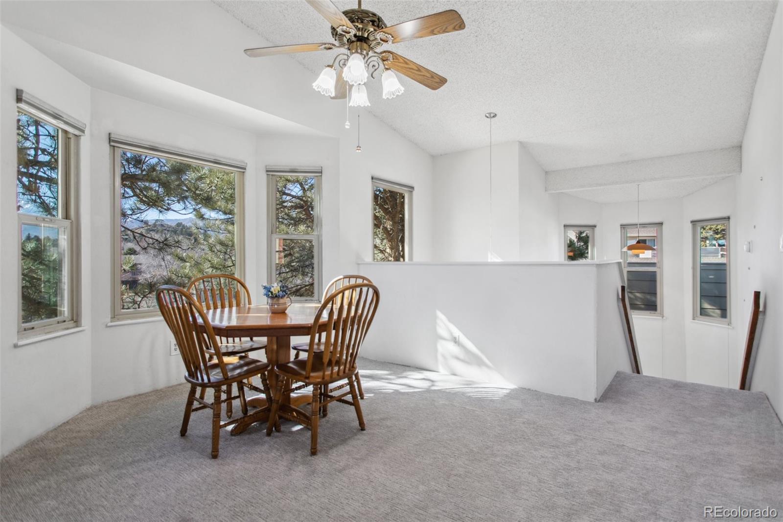 MLS Image #7 for 432 w rockrimmon boulevard,colorado springs, Colorado