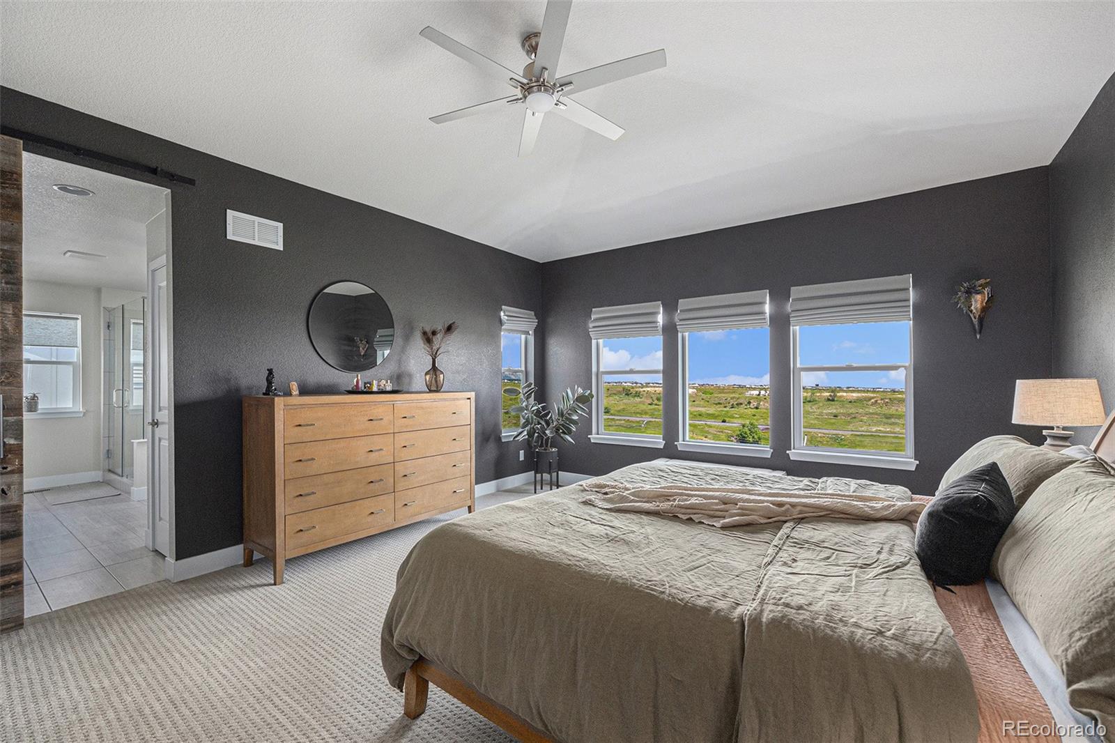 MLS Image #6 for 19239 w 88th drive,arvada, Colorado