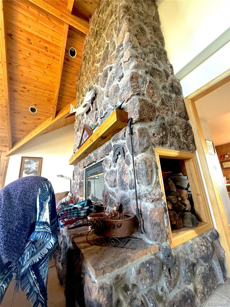 MLS Image #10 for 249  hagerman road,cotopaxi, Colorado
