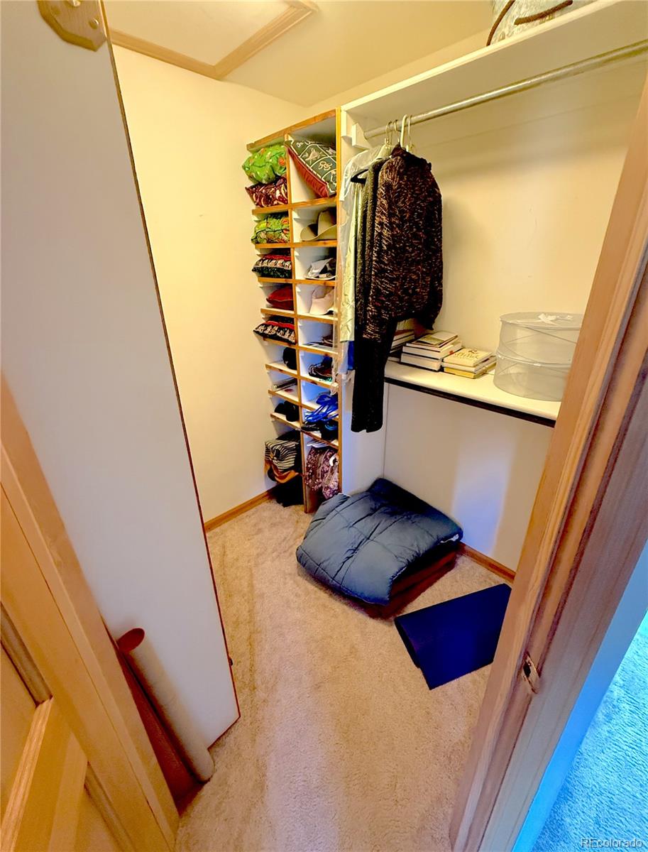 MLS Image #16 for 249  hagerman road,cotopaxi, Colorado