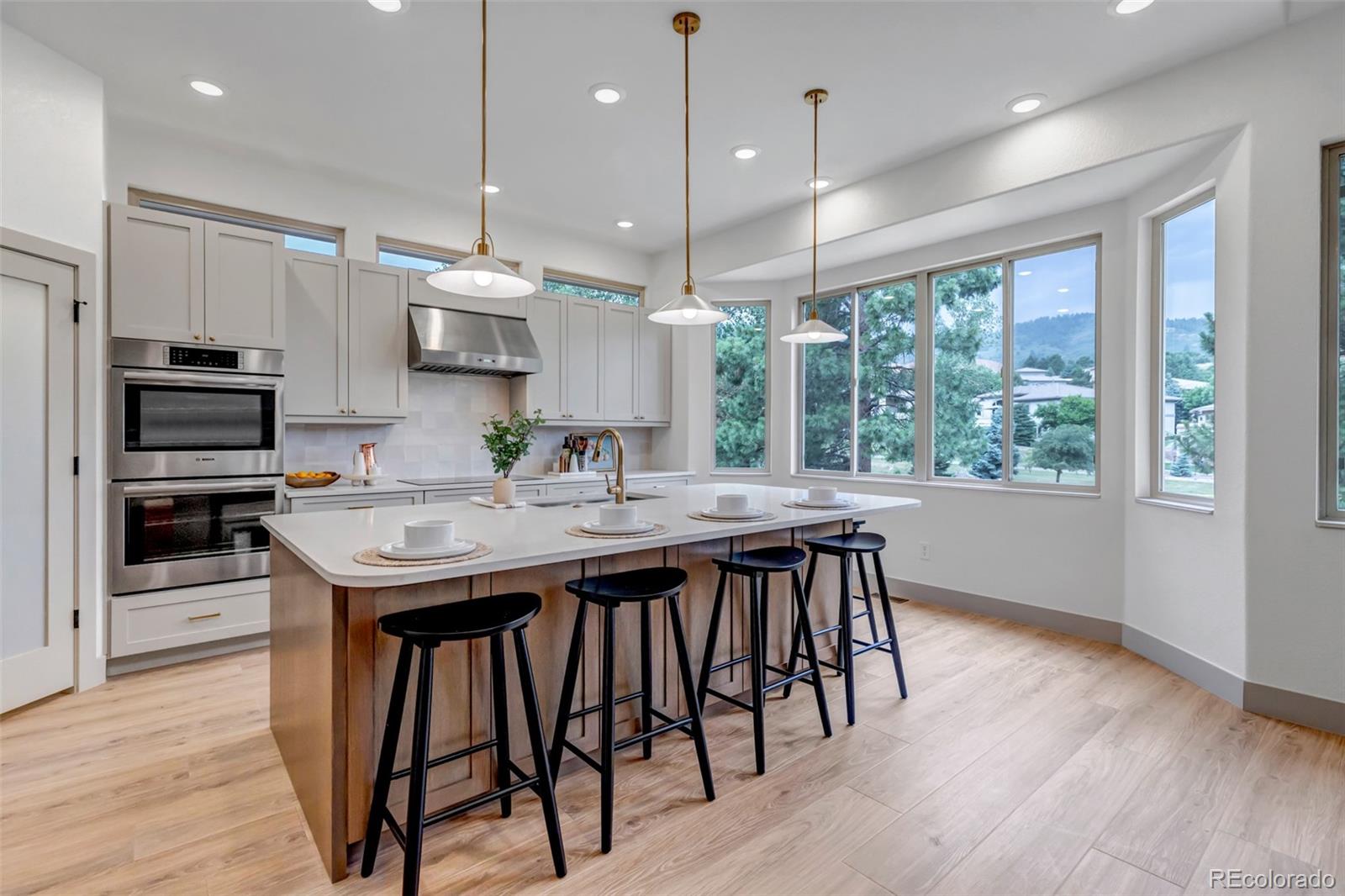 MLS Image #17 for 6379  spotted fawn run,littleton, Colorado