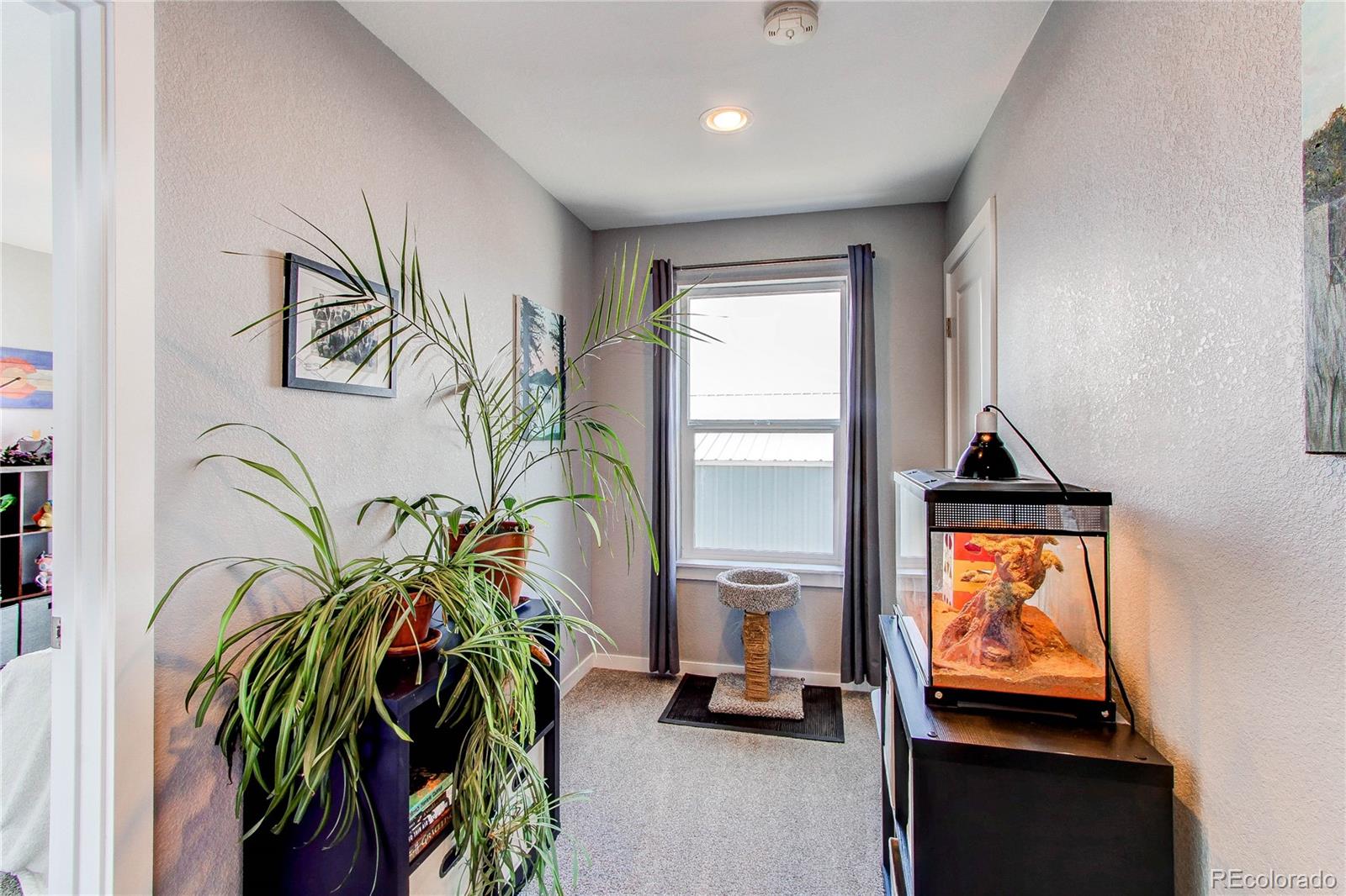 MLS Image #16 for 262 s 4th court,deer trail, Colorado