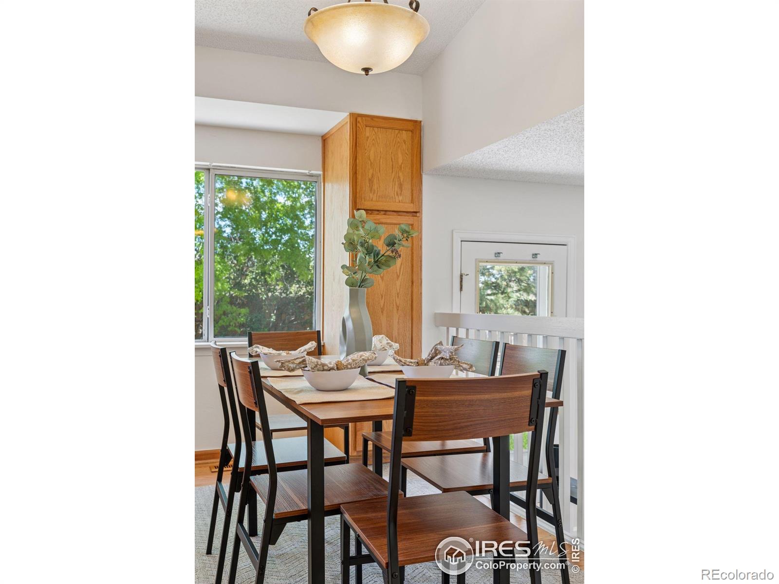 MLS Image #13 for 17611  hoyt place,parker, Colorado