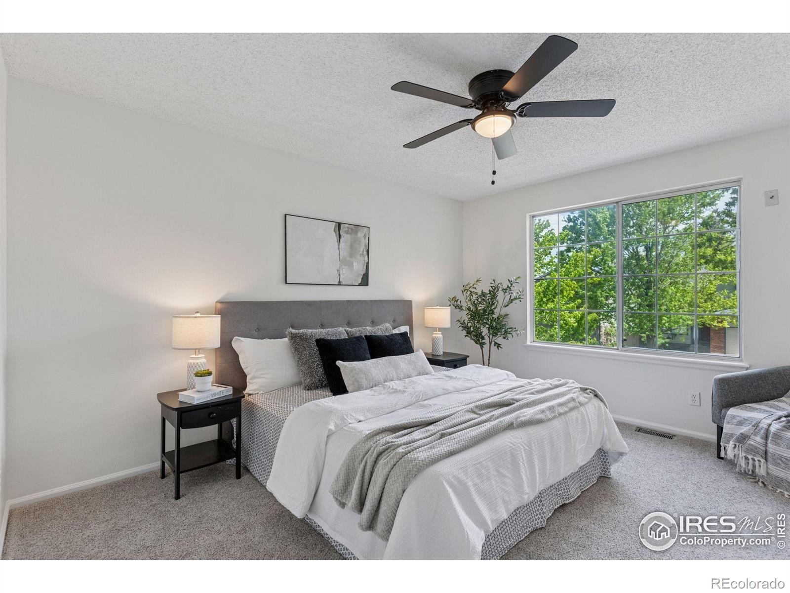 MLS Image #14 for 17611  hoyt place,parker, Colorado