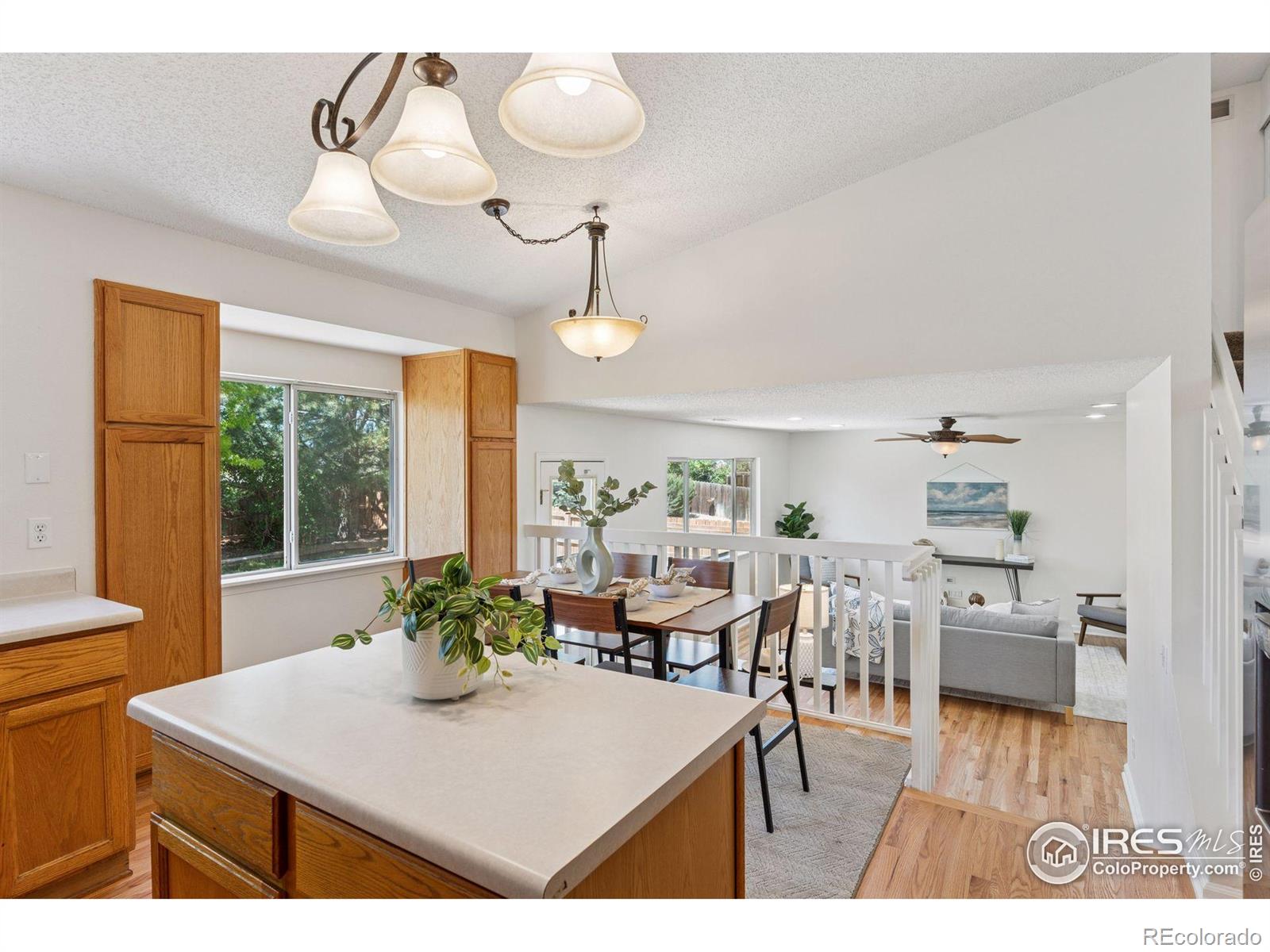 MLS Image #9 for 17611  hoyt place,parker, Colorado