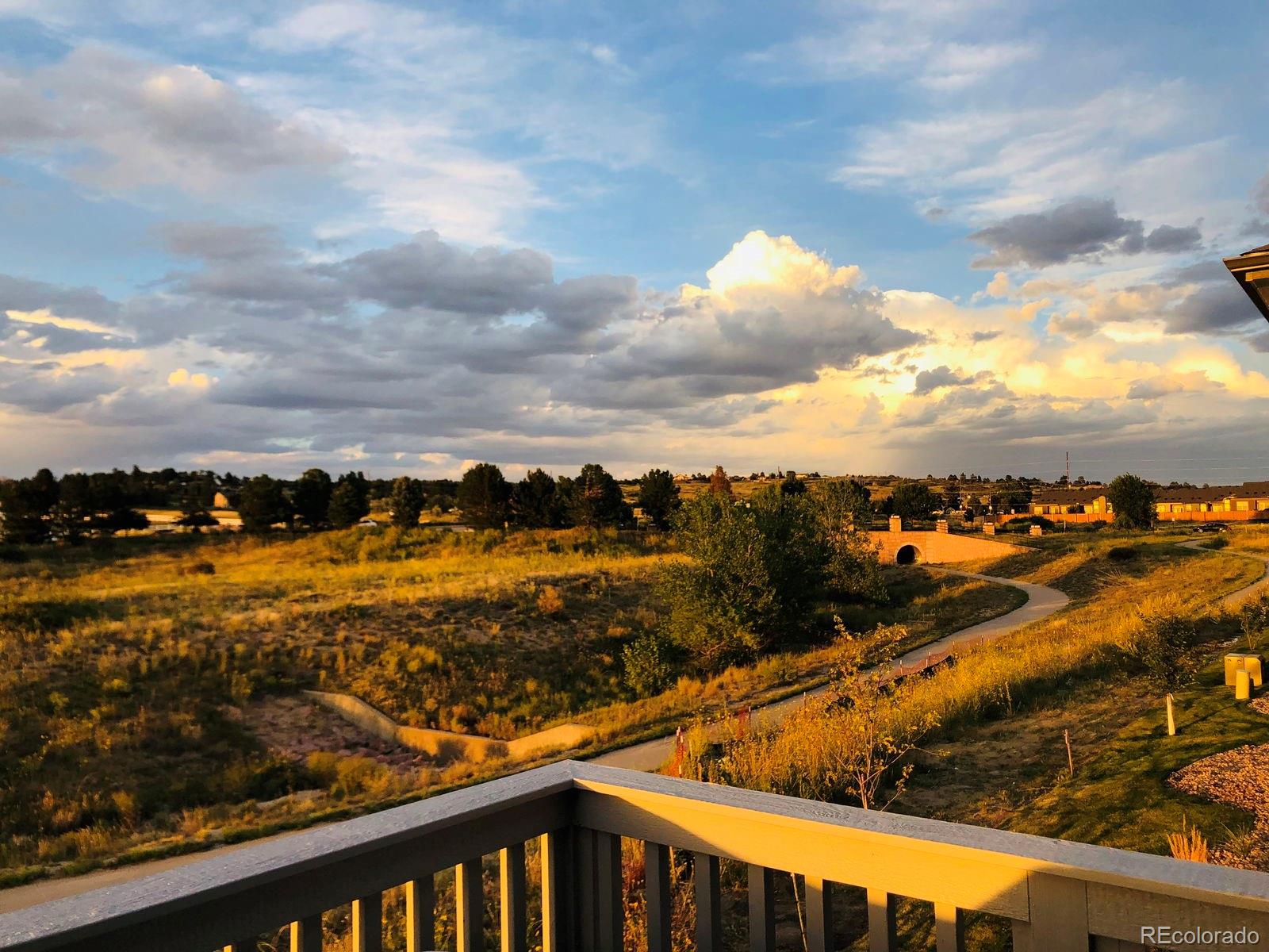 MLS Image #23 for 6805  zebra grass lane,parker, Colorado