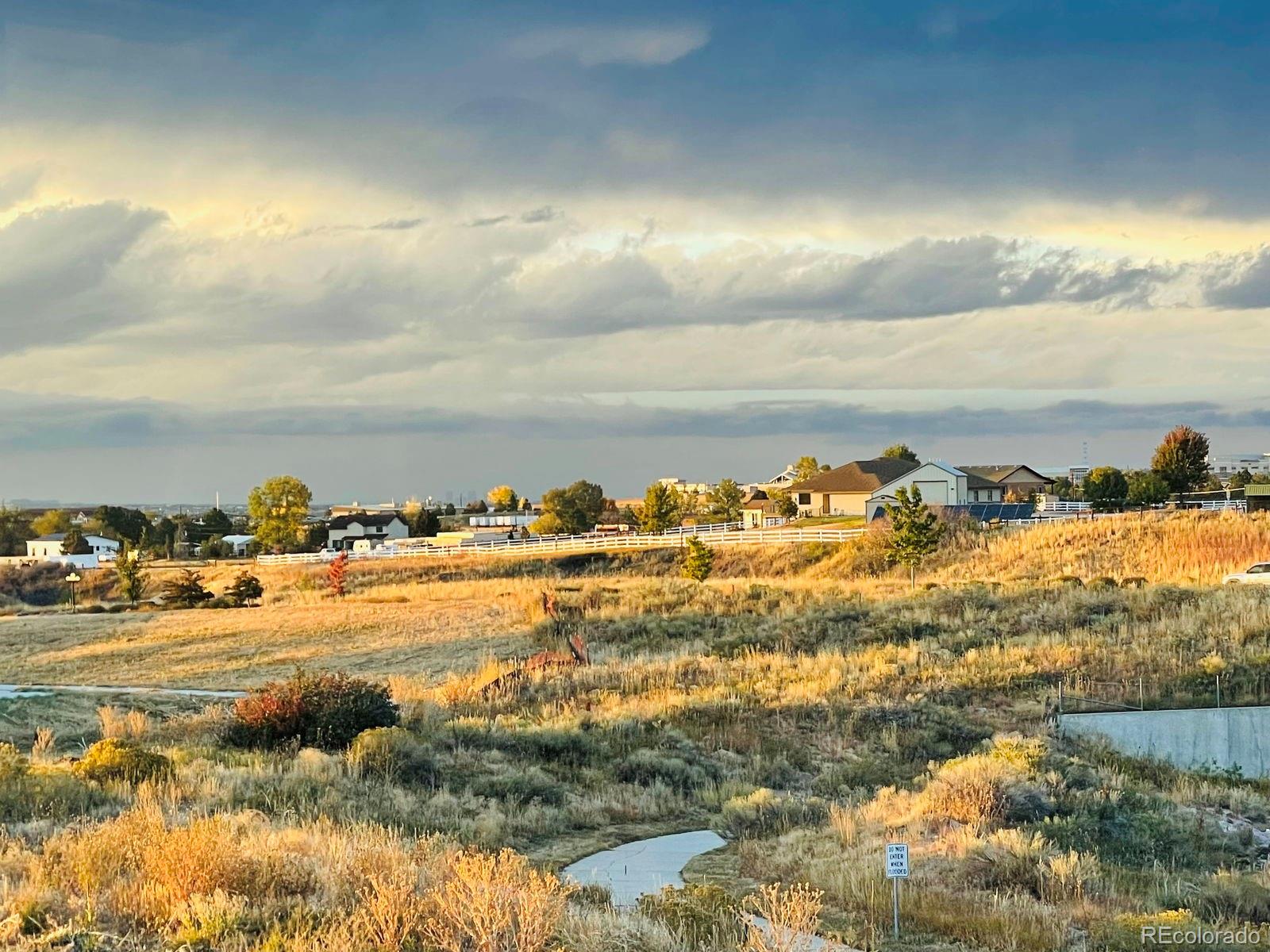 MLS Image #24 for 6805  zebra grass lane,parker, Colorado
