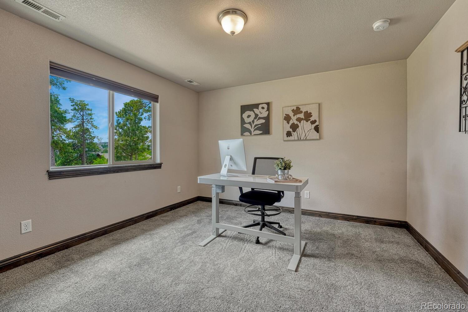 MLS Image #19 for 17576  cabin hill lane,colorado springs, Colorado