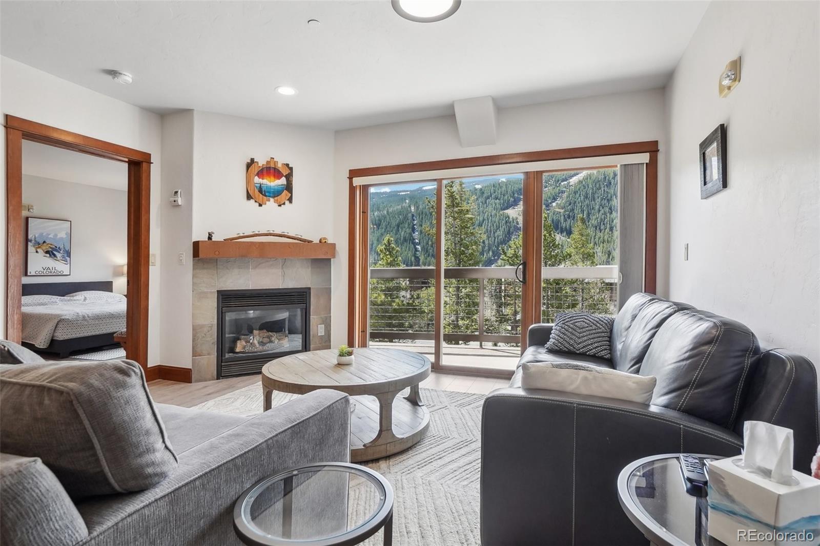 MLS Image #1 for 22787  us highway 6  302,keystone, Colorado