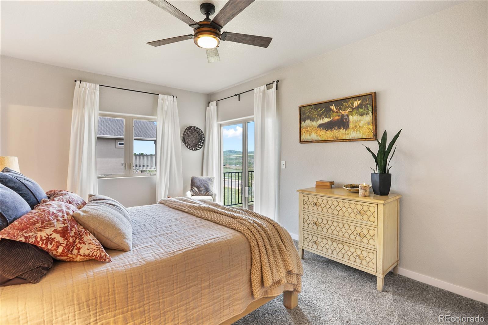 MLS Image #17 for 407  meadow park drive,divide, Colorado