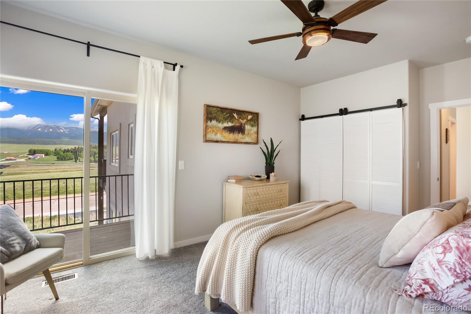 MLS Image #18 for 407  meadow park drive,divide, Colorado
