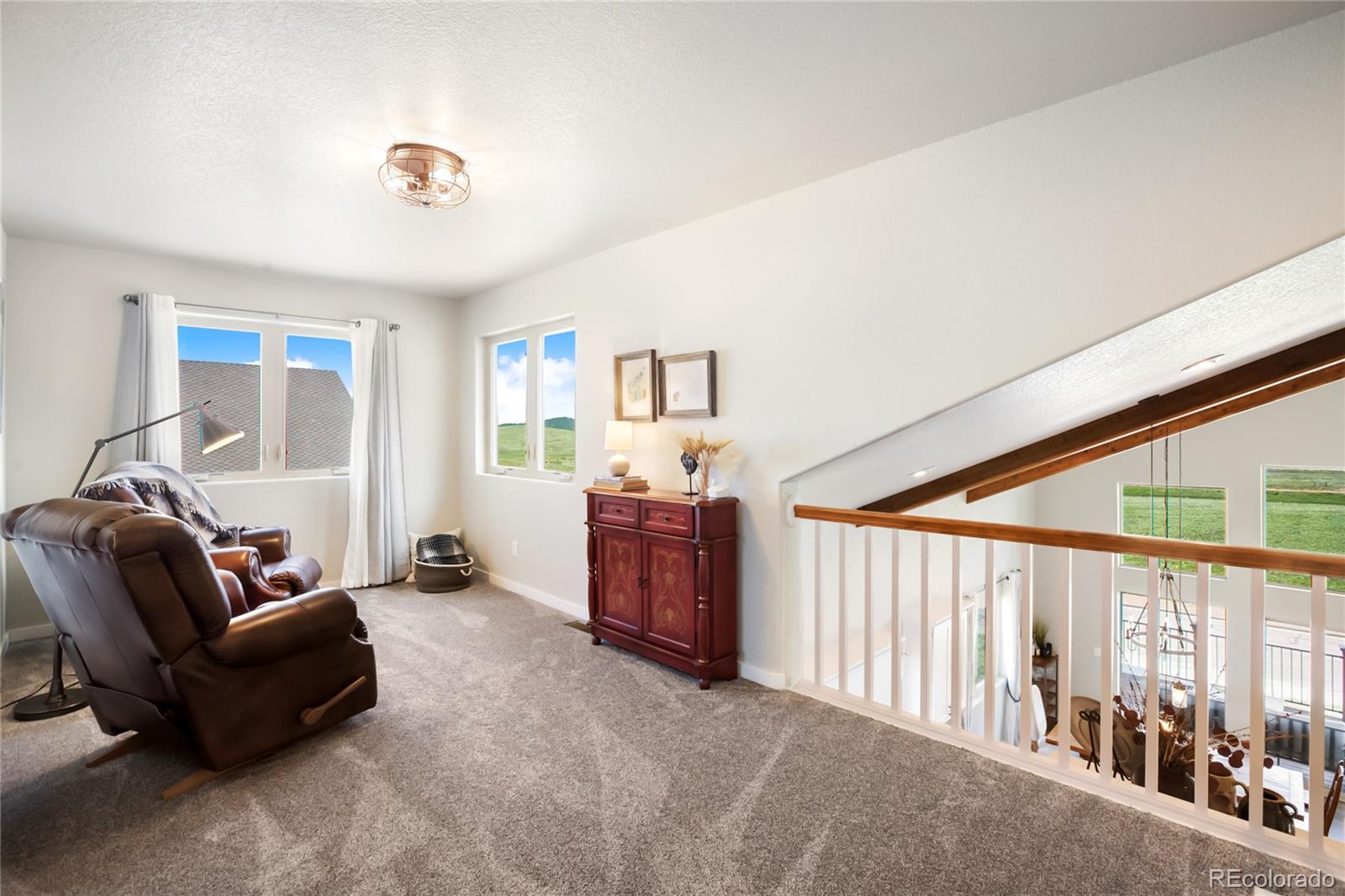 MLS Image #25 for 407  meadow park drive,divide, Colorado