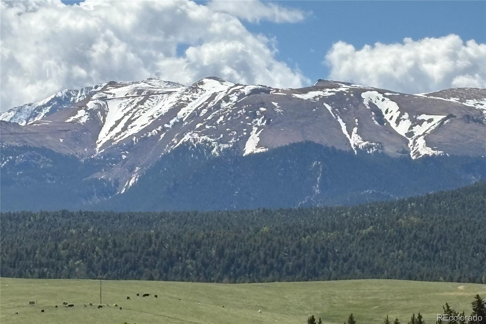 MLS Image #48 for 407  meadow park drive,divide, Colorado