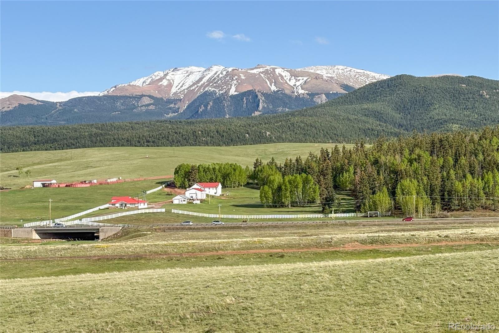 MLS Image #5 for 407  meadow park drive,divide, Colorado