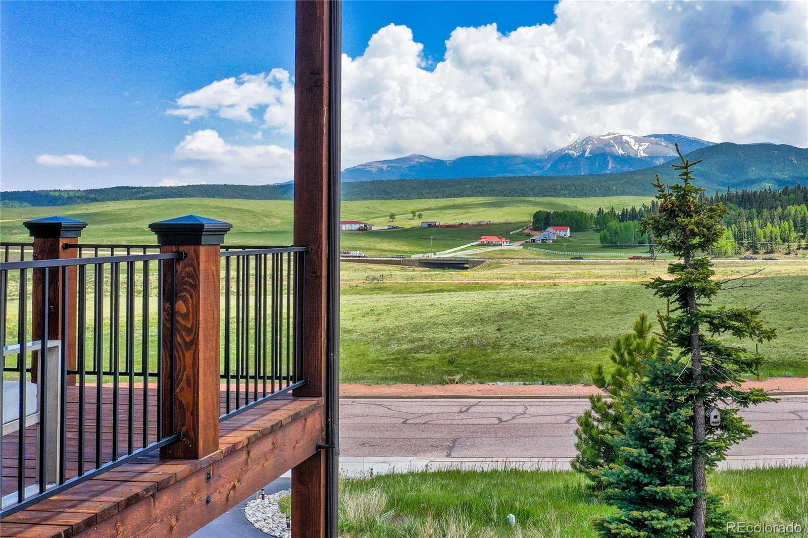 MLS Image #6 for 407  meadow park drive,divide, Colorado