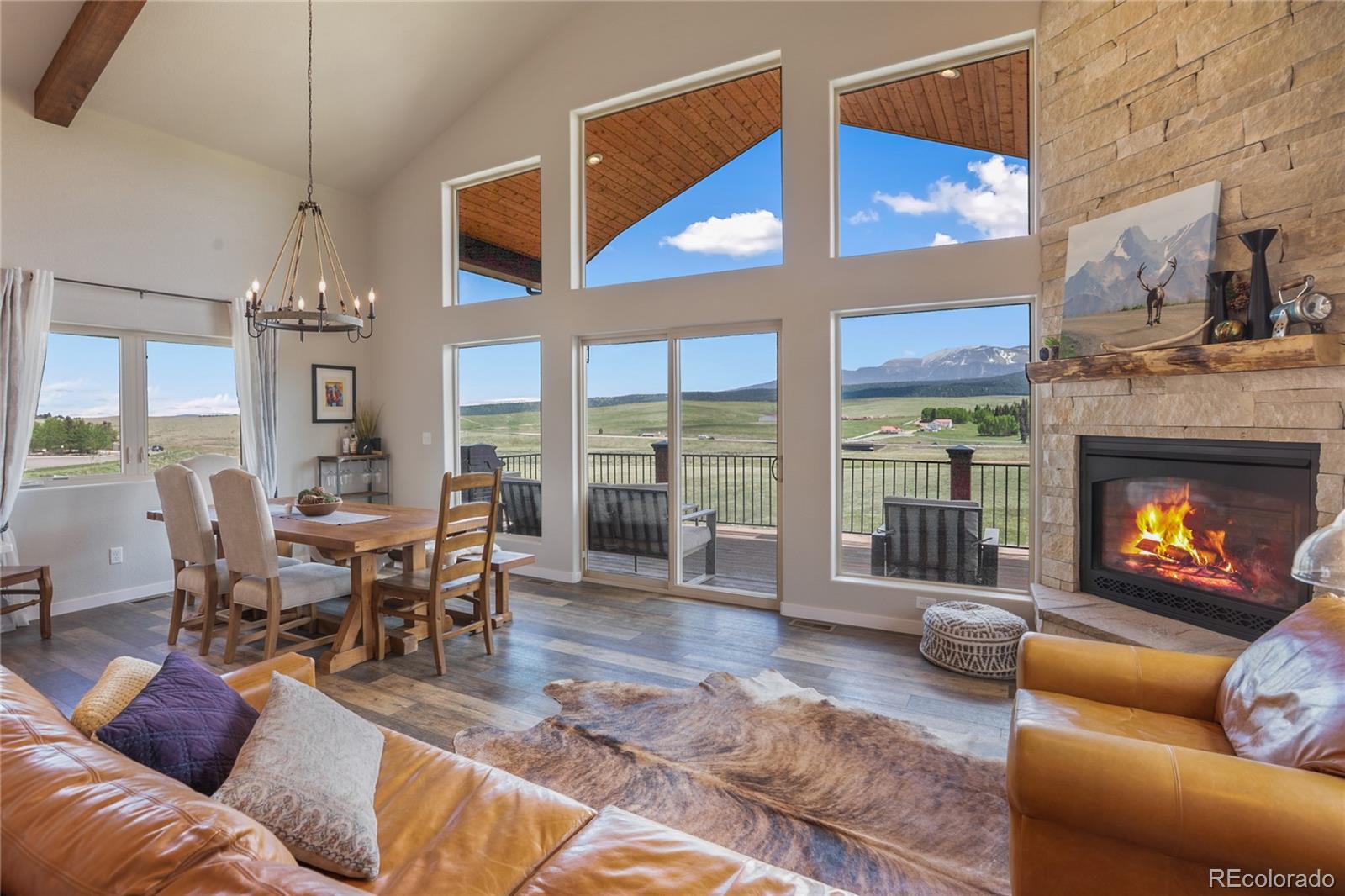 MLS Image #8 for 407  meadow park drive,divide, Colorado