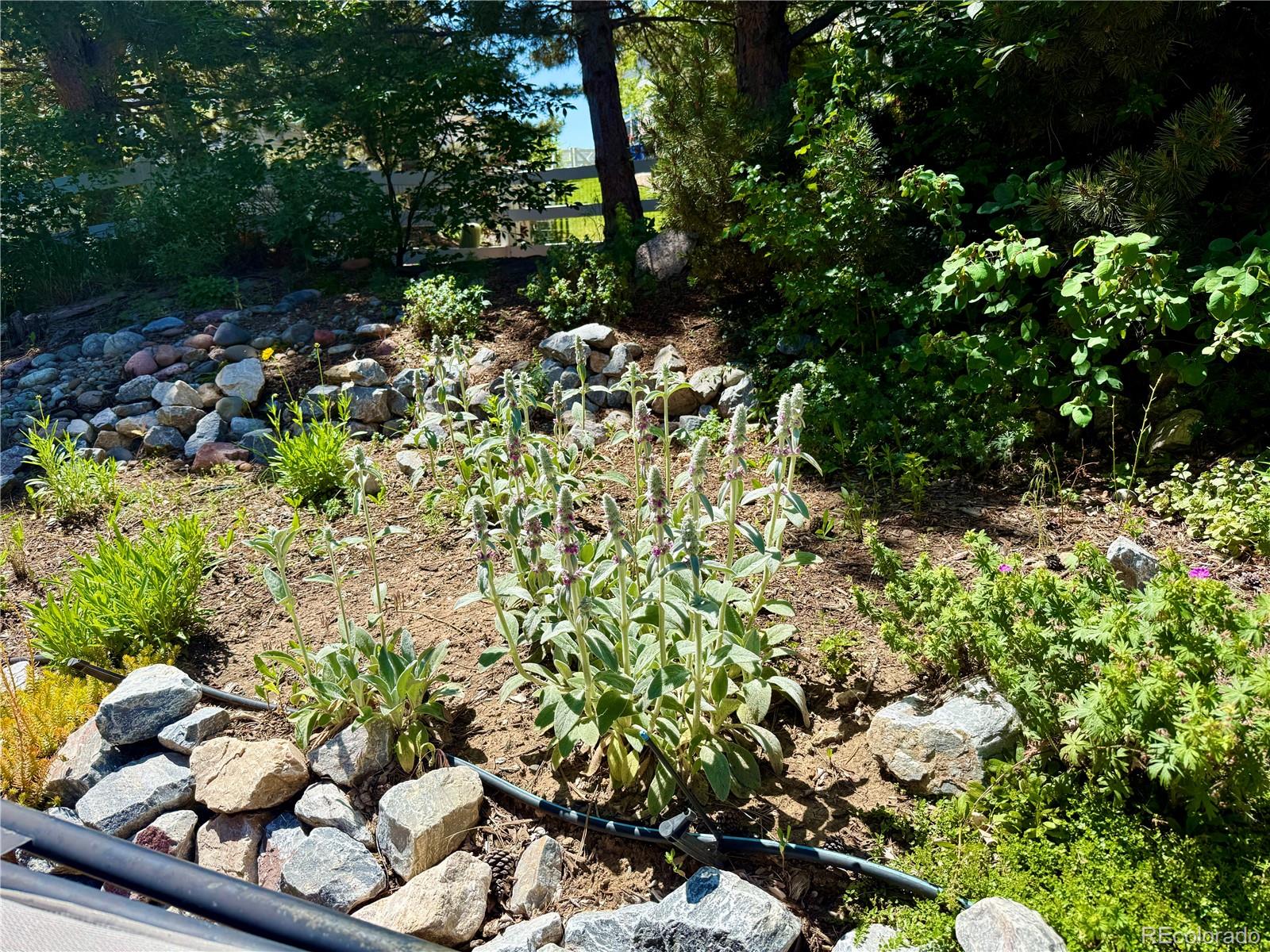 MLS Image #38 for 12705  kalamath court,westminster, Colorado