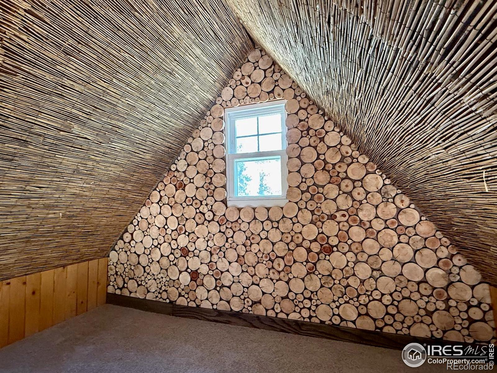 MLS Image #10 for 263  reindeer drive,ward, Colorado