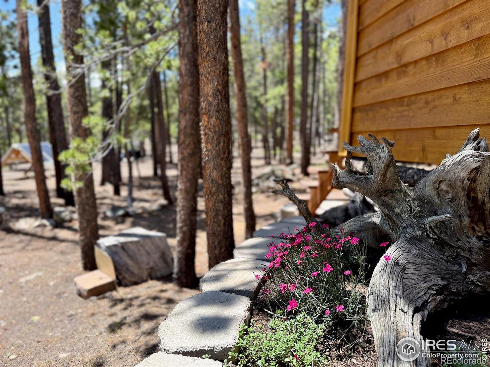 MLS Image #12 for 263  reindeer drive,ward, Colorado