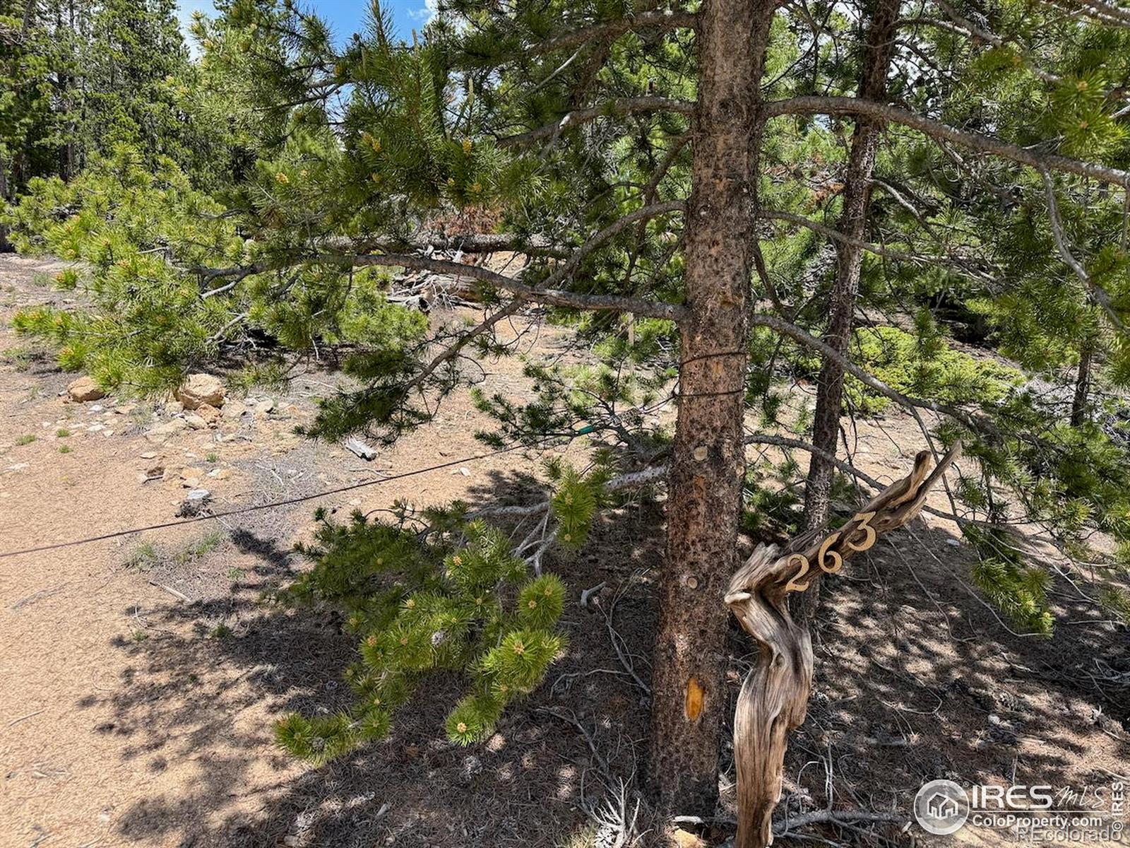 MLS Image #14 for 263  reindeer drive,ward, Colorado