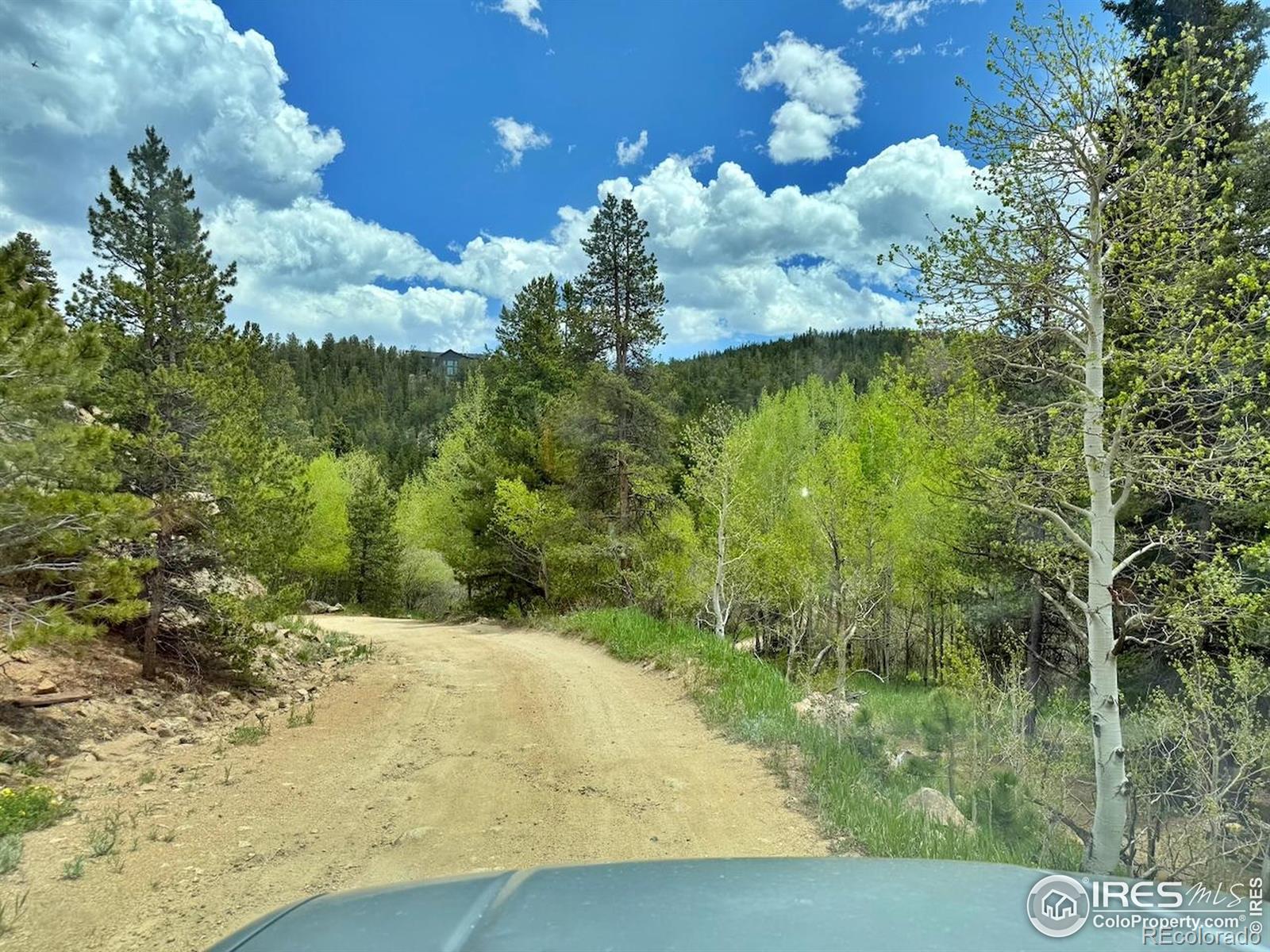 MLS Image #17 for 263  reindeer drive,ward, Colorado