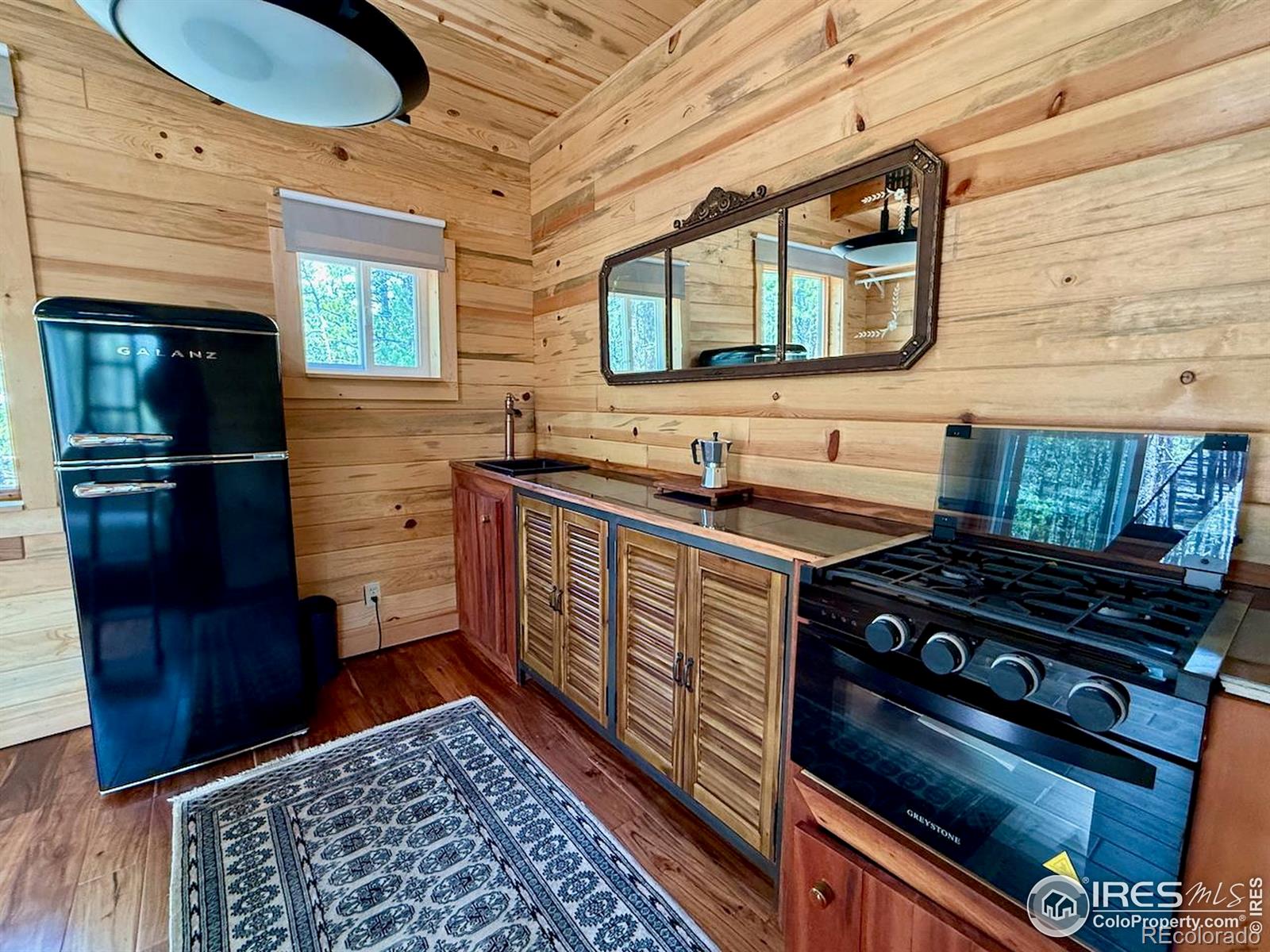 MLS Image #6 for 263  reindeer drive,ward, Colorado