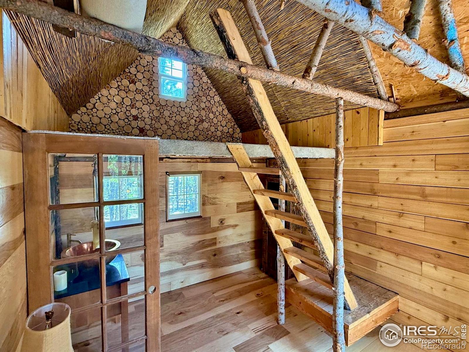 MLS Image #8 for 263  reindeer drive,ward, Colorado