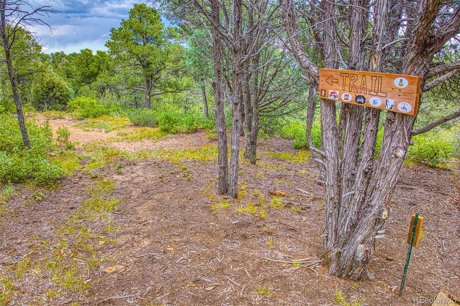 MLS Image #26 for 21540  ridgeline drive,trinidad, Colorado