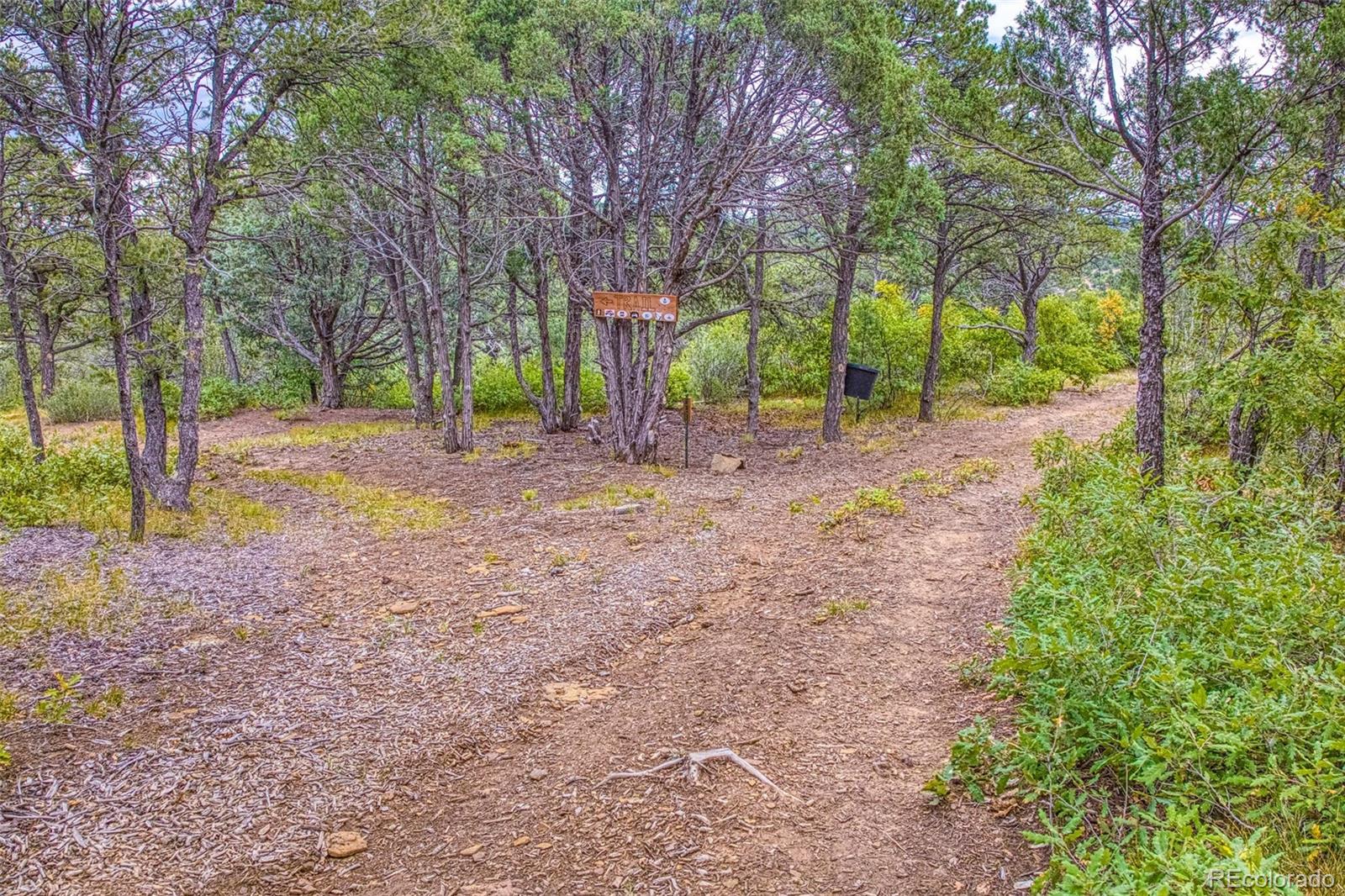 MLS Image #28 for 21540  ridgeline drive,trinidad, Colorado