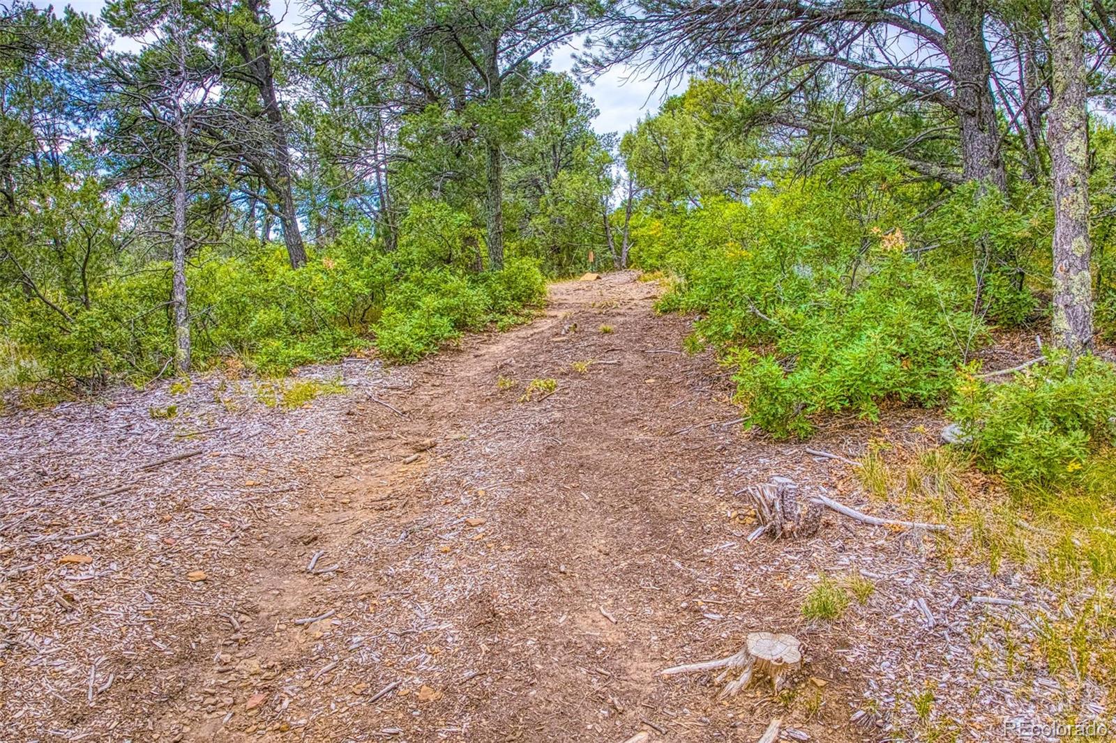MLS Image #30 for 21540  ridgeline drive,trinidad, Colorado
