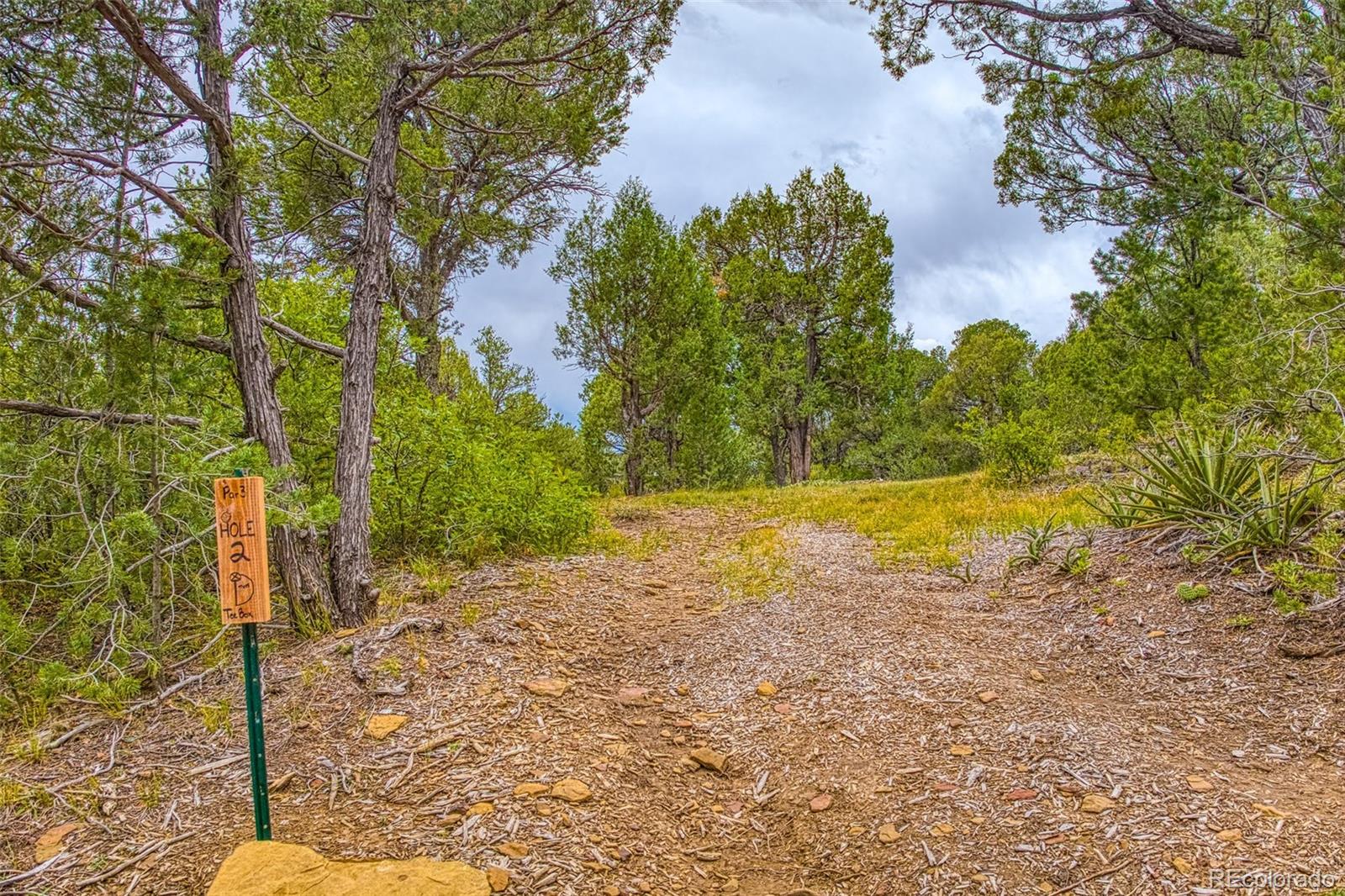 MLS Image #31 for 21540  ridgeline drive,trinidad, Colorado