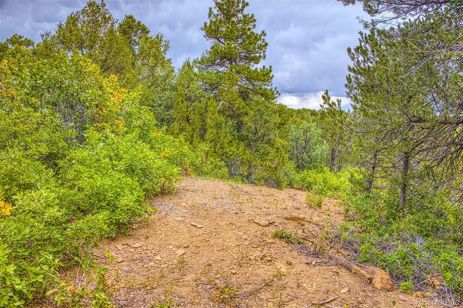 MLS Image #35 for 21540  ridgeline drive,trinidad, Colorado