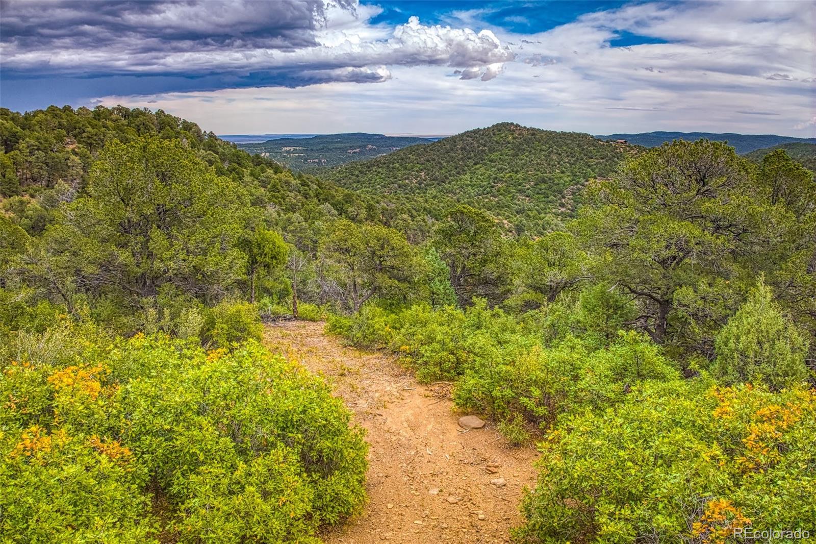 MLS Image #36 for 21540  ridgeline drive,trinidad, Colorado