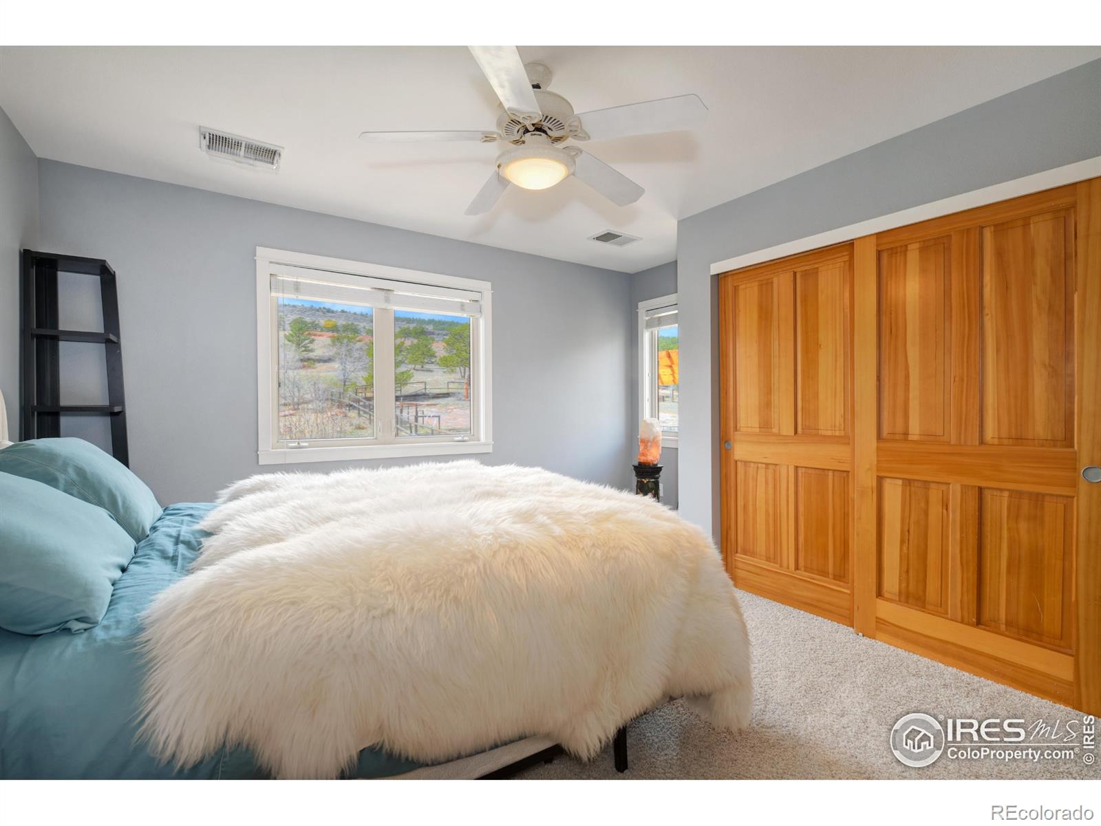 MLS Image #16 for 385  vasquez court,lyons, Colorado