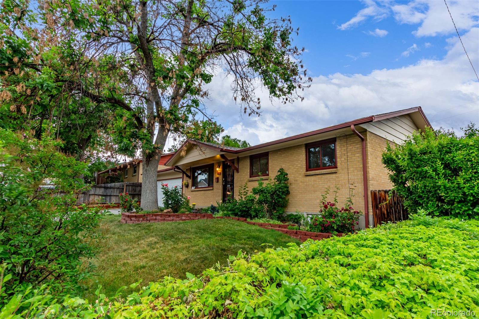 MLS Image #2 for 1285  elder street,denver, Colorado