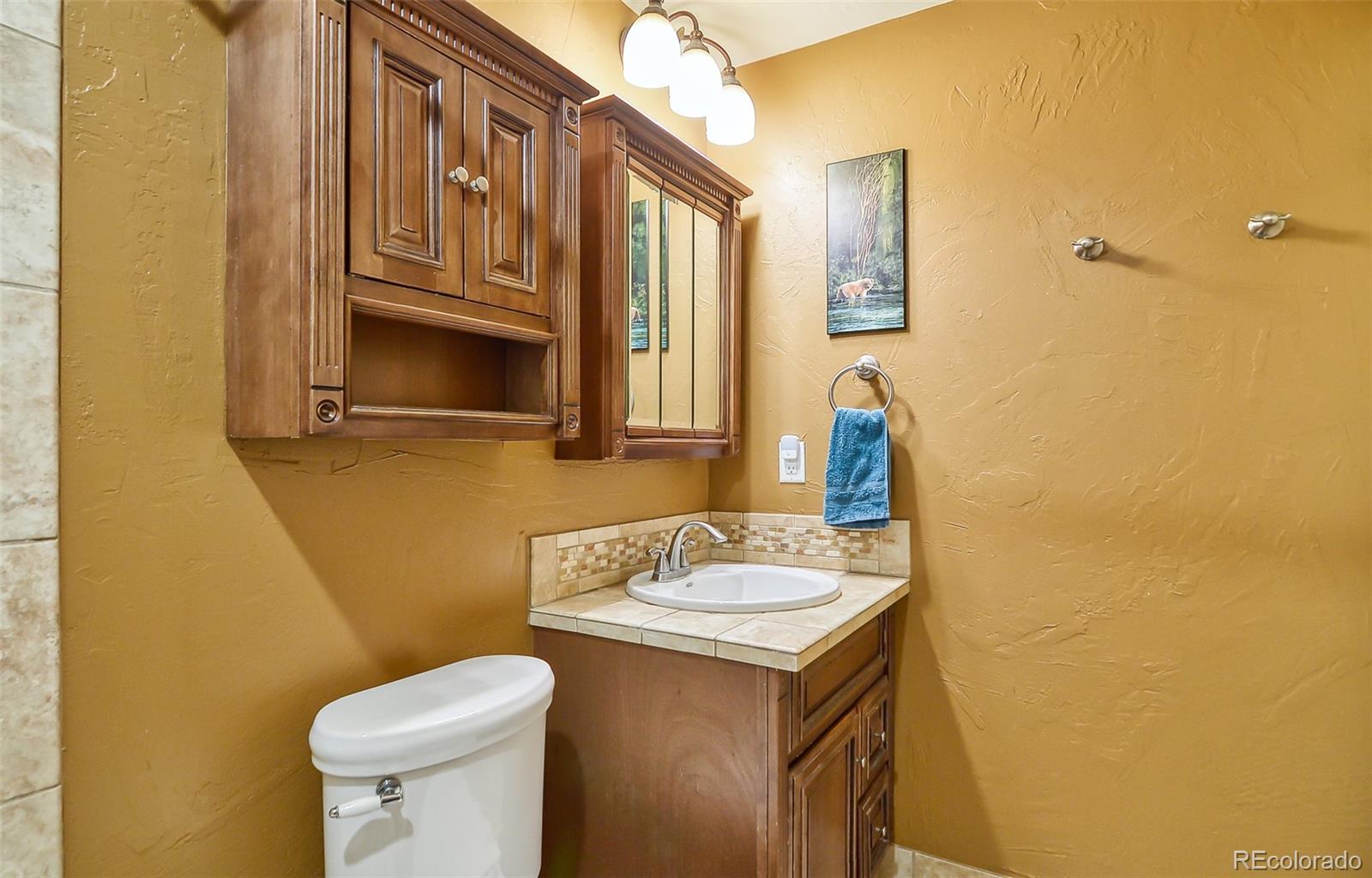 MLS Image #20 for 6627 s garland way,littleton, Colorado
