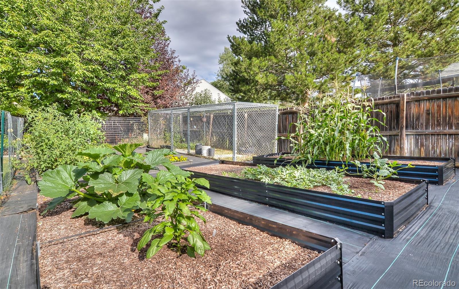 MLS Image #31 for 6627 s garland way,littleton, Colorado