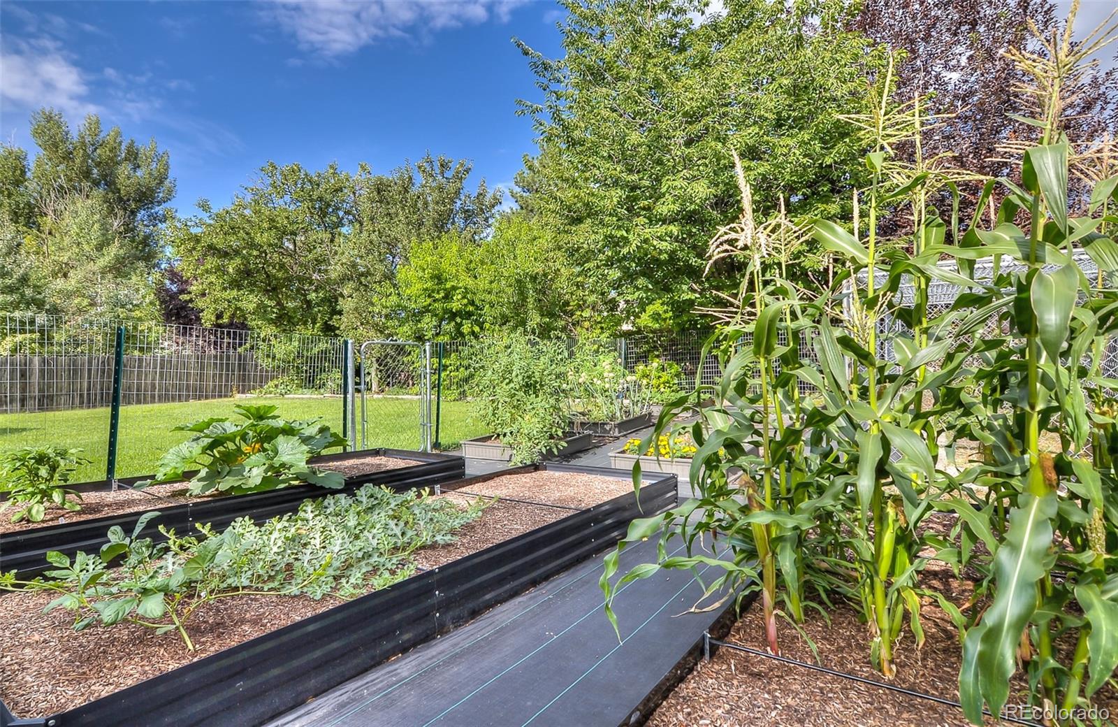 MLS Image #32 for 6627 s garland way,littleton, Colorado