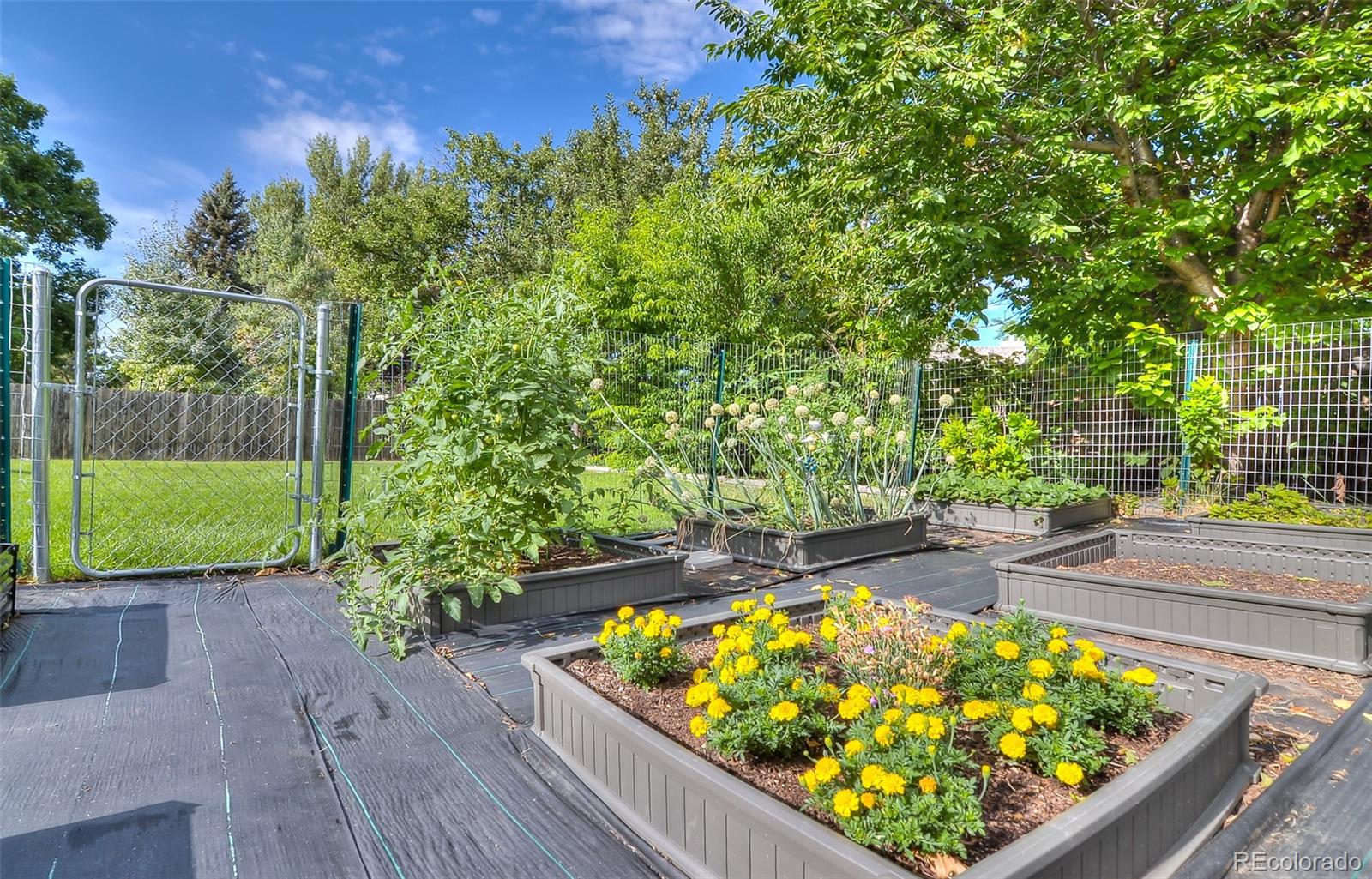 MLS Image #33 for 6627 s garland way,littleton, Colorado
