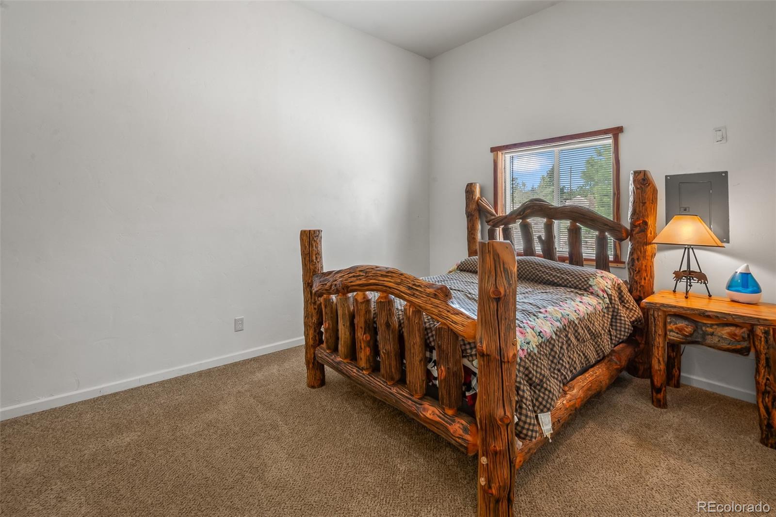 MLS Image #44 for 780  oak street,hartsel, Colorado