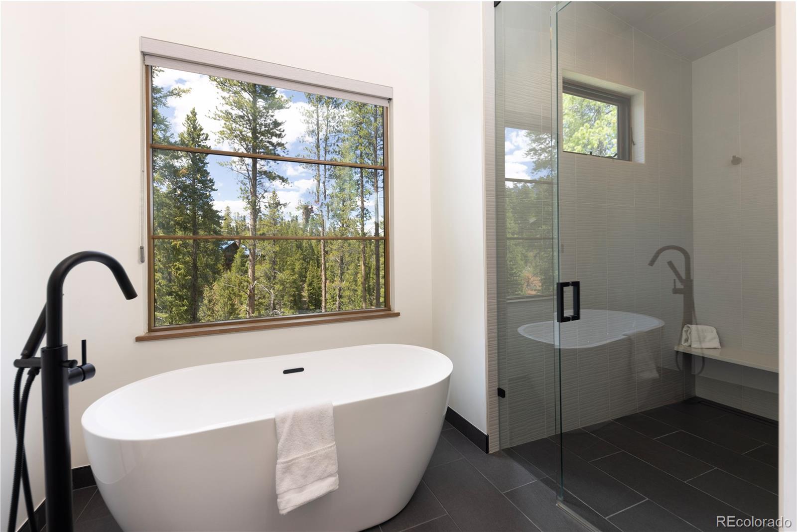 MLS Image #15 for 111  burro lane,breckenridge, Colorado