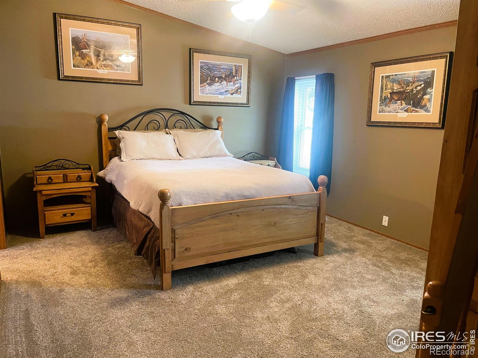 MLS Image #29 for 215 n 2nd street,iliff, Colorado