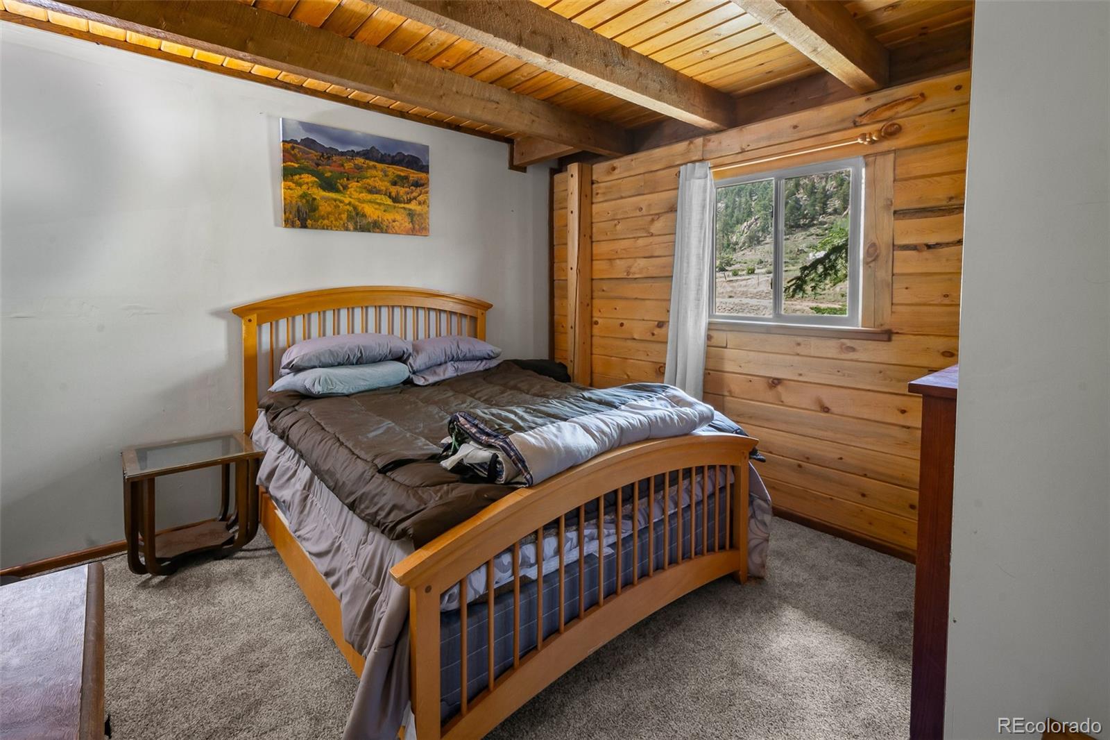 MLS Image #36 for 7256  jefferson road,hartsel, Colorado